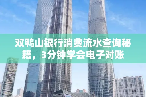 双鸭山银行消费流水查询秘籍，3分钟学会电子对账