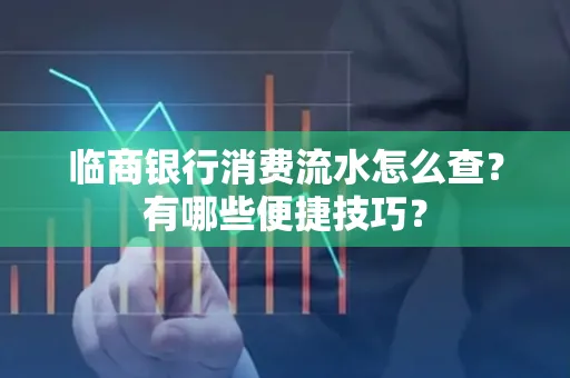 临商银行消费流水怎么查？有哪些便捷技巧？