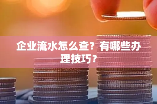 企业流水怎么查？有哪些办理技巧？