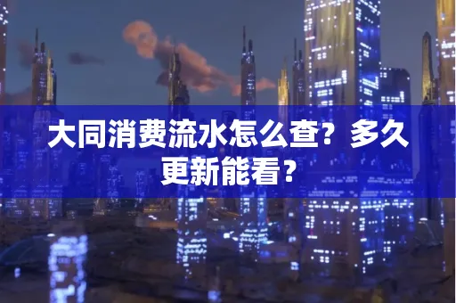 大同消费流水怎么查？多久更新能看？
